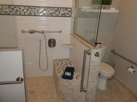 A bathroom shower and toilet bowl