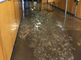 Mud inside the hallway